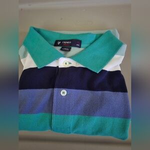 Daniel Cremieux Green and Blue Striped Polo Shirt